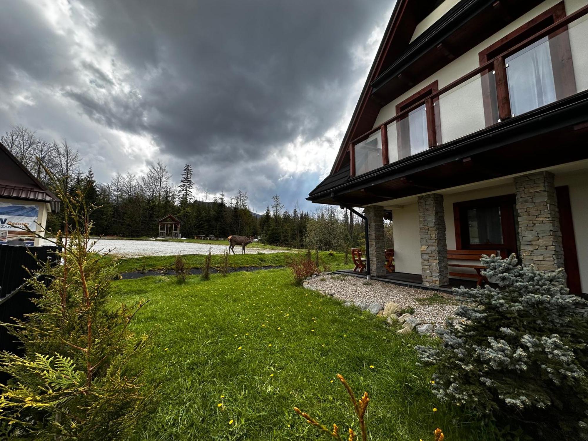 Apartamenty Willa Nika Zakopane Exteriér fotografie